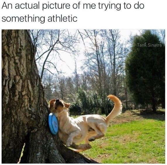 46 Great Pics And Memes to Improve Your Mood