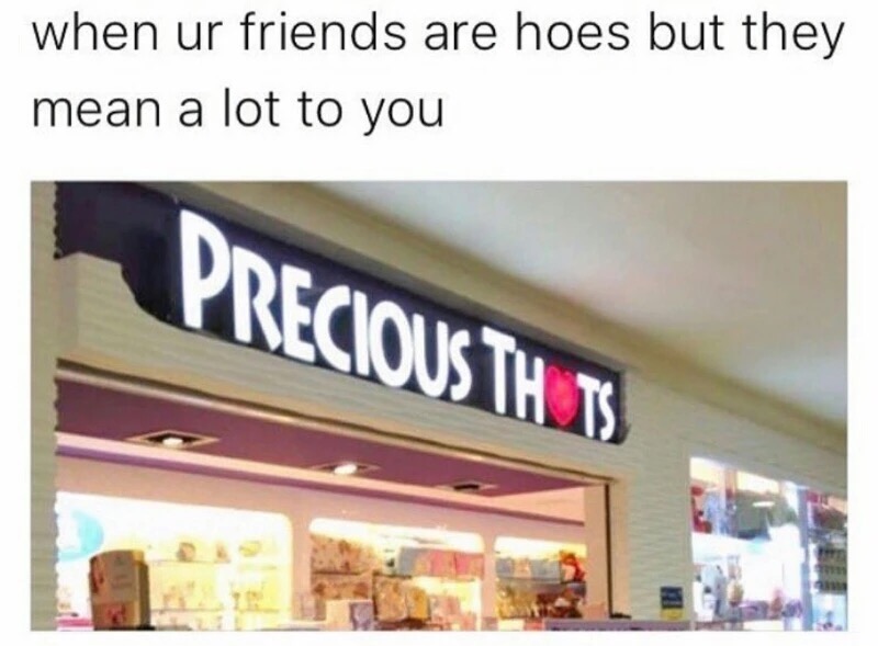 Meme about when you love your friends even if they are hoes as caption for funny picture of a store named Precious Thots