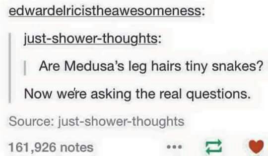 funny tweet asking if Medusa's leg hairs are tiny snakes