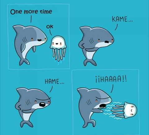 cartoon shark memes - One more time Kame... Hame... Fhaaaa!!