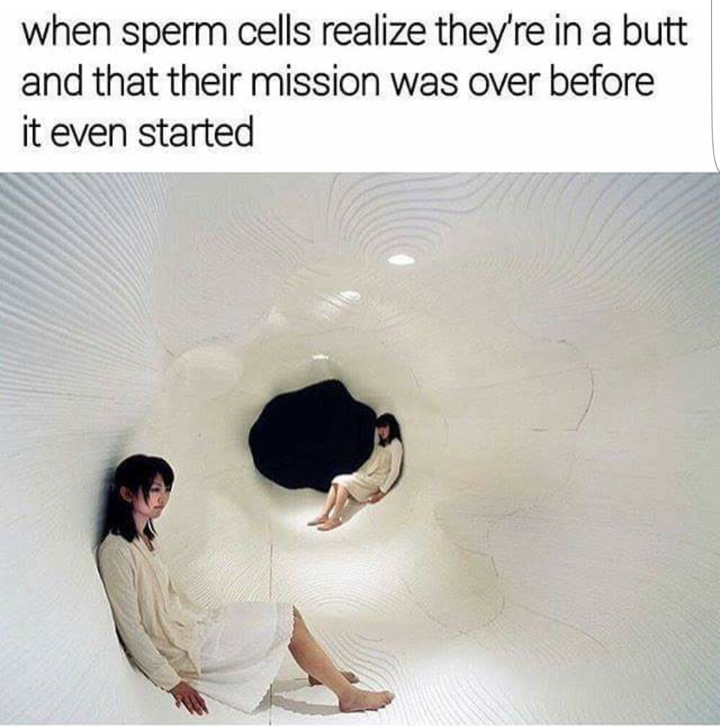 dirty memes - when sperm cells realize they're in a butt and that their mission was over before it even started