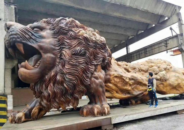 redwood lion sculpture