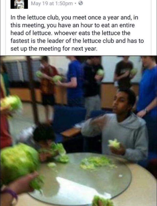 lettuce club - May 19 at pm In the lettuce club, you meet once a year and, in this meeting, you have an hour to eat an entire head of lettuce. whoever eats the lettuce the fastest is the leader of the lettuce club and has to set up the meeting for next ye
