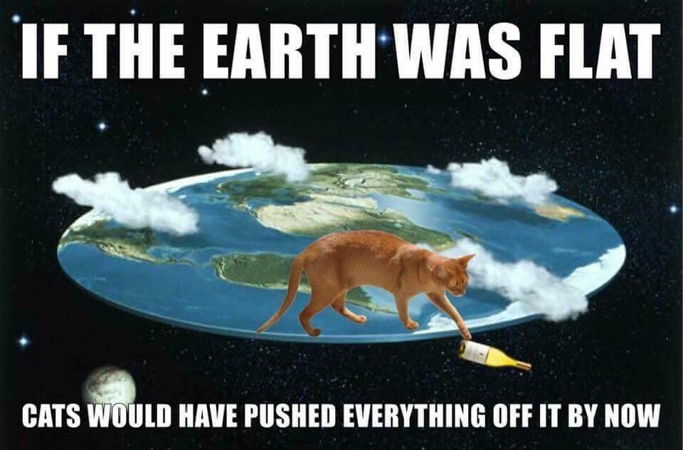 if the earth was flat cats - If The Earth Was Flat Cats Would Have Pushed Everything Off It By Now