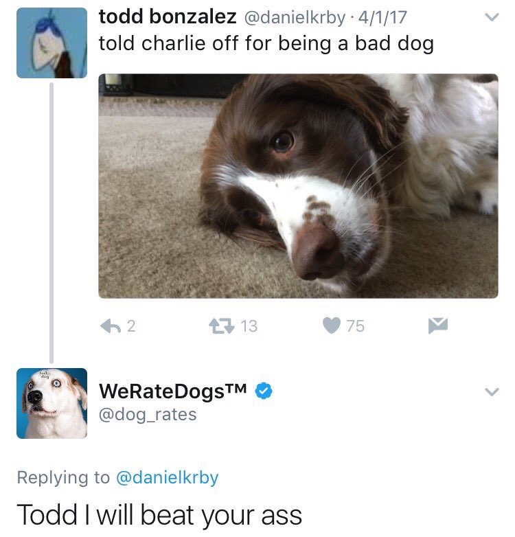 todd i will beat your ass - todd bonzalez . 4117 told charlie off for being a bad dog 62 23 13 75 m WeRateDogsTM Todd I will beat your ass