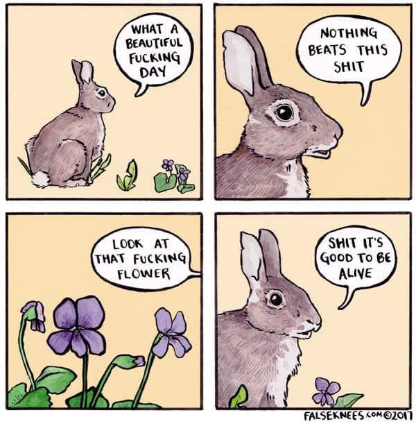 fucking day meme - What A Beautiful Fucking Day Nothing Beats This Shit Look At That Fucking Flower Shit It'S Good To Be Alive Falseknees.Com 2017