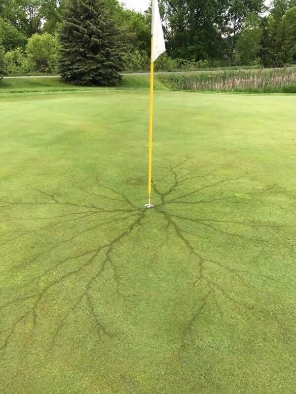 golf course lightning strike