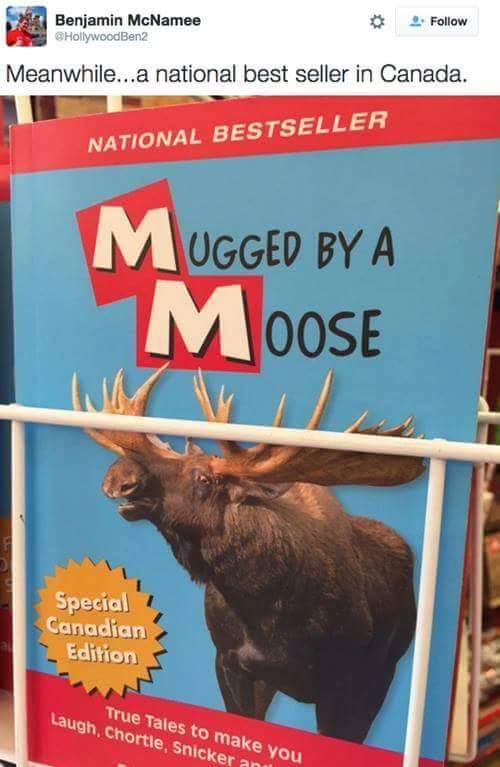 snout - Benjamin McNamee HollywoodBen2 2. . Meanwhile...a national best seller in Canada. National Bestseller Mugged By A Moose Special Canadian Edition True Tales to make you Laugh, Chortle, Snicker an