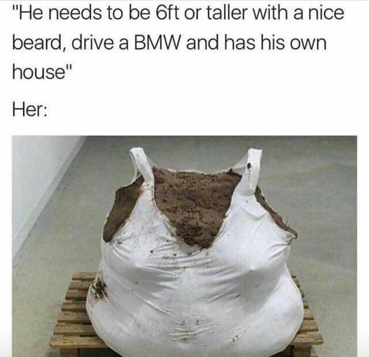 Funny meme of girls who have a list of demands of how their guy has to be, but she looks like a bag of manure.