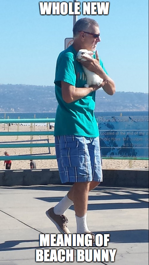 Man carrying cute rabbit by the sea-side brings whole new meaning of the phrase 'beach bunny'