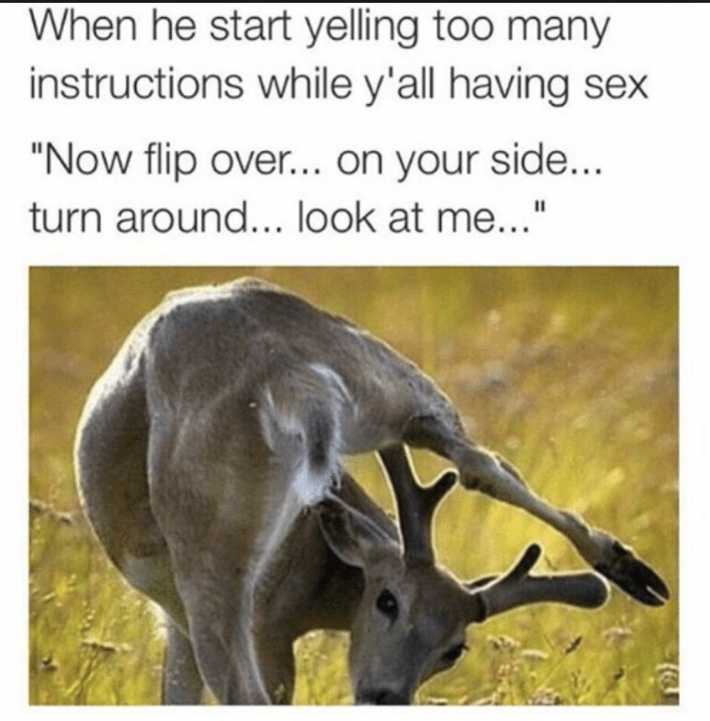 Meme about when he is giving too much instructions during sex with funny picture of deer running goofy