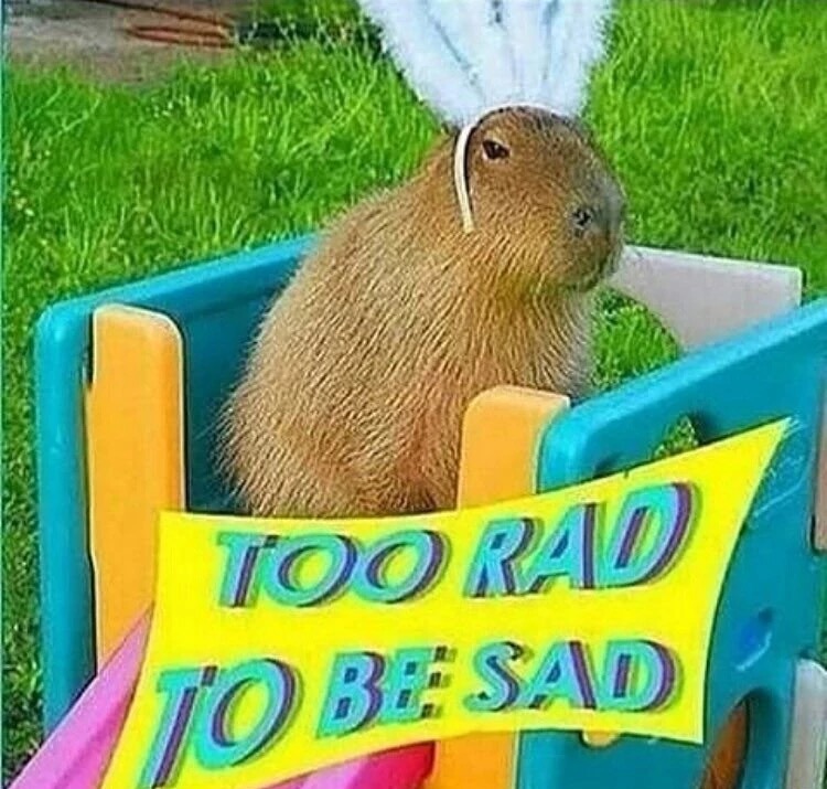 too rad to be sad meme - Tog Rad To Be Sad