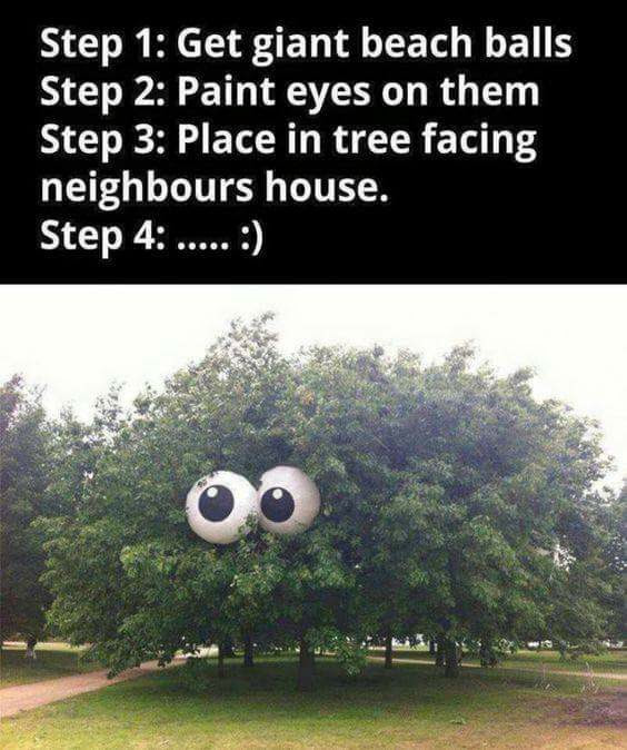 beach ball eyes in tree - Step 1 Get giant beach balls Step 2 Paint eyes on them Step 3 Place in tree facing neighbours house. Step 4 ..... O