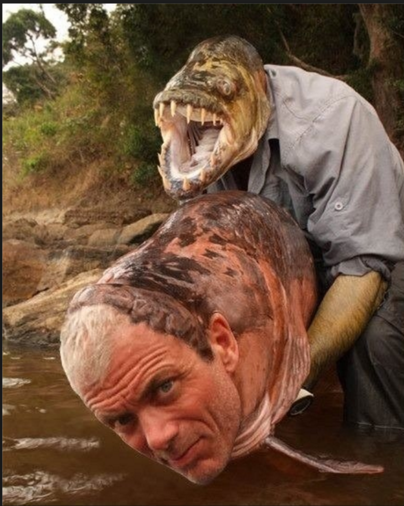 river monsters tiger fish