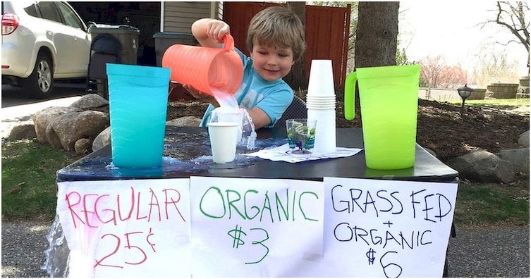 grass fed lemonade stand - Regular Organic Grass Fed F 25 Organic