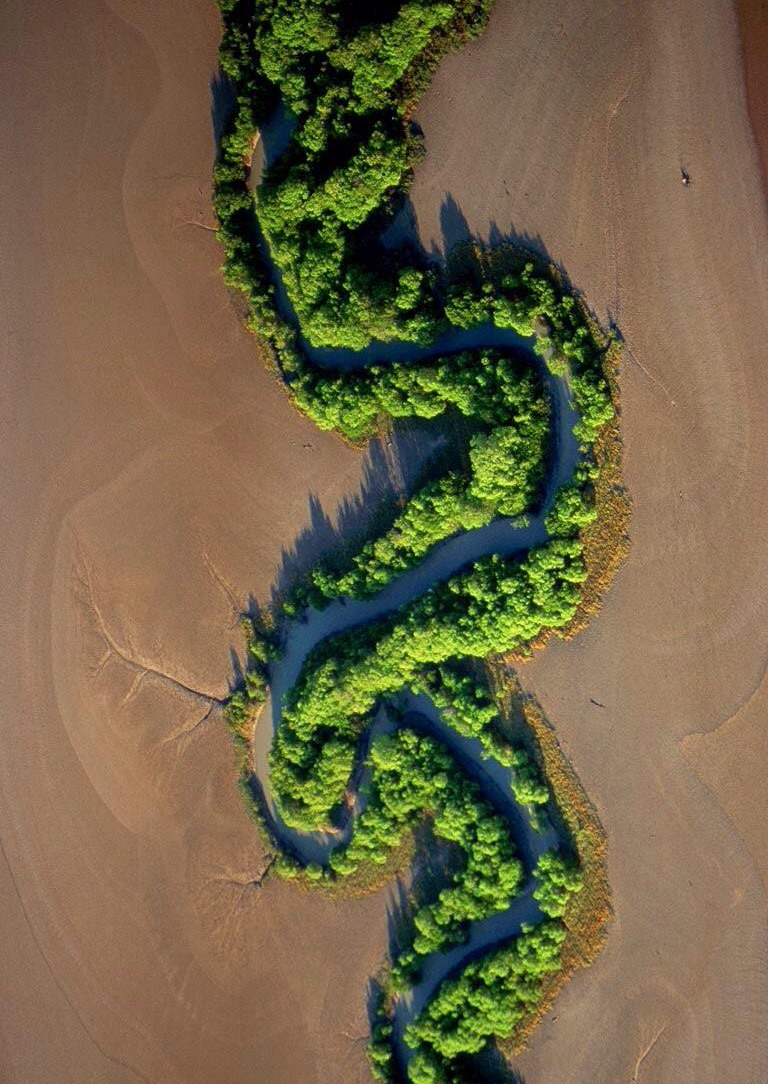 Cool pic of a river winding through the desert and blooming stuff along the way.
