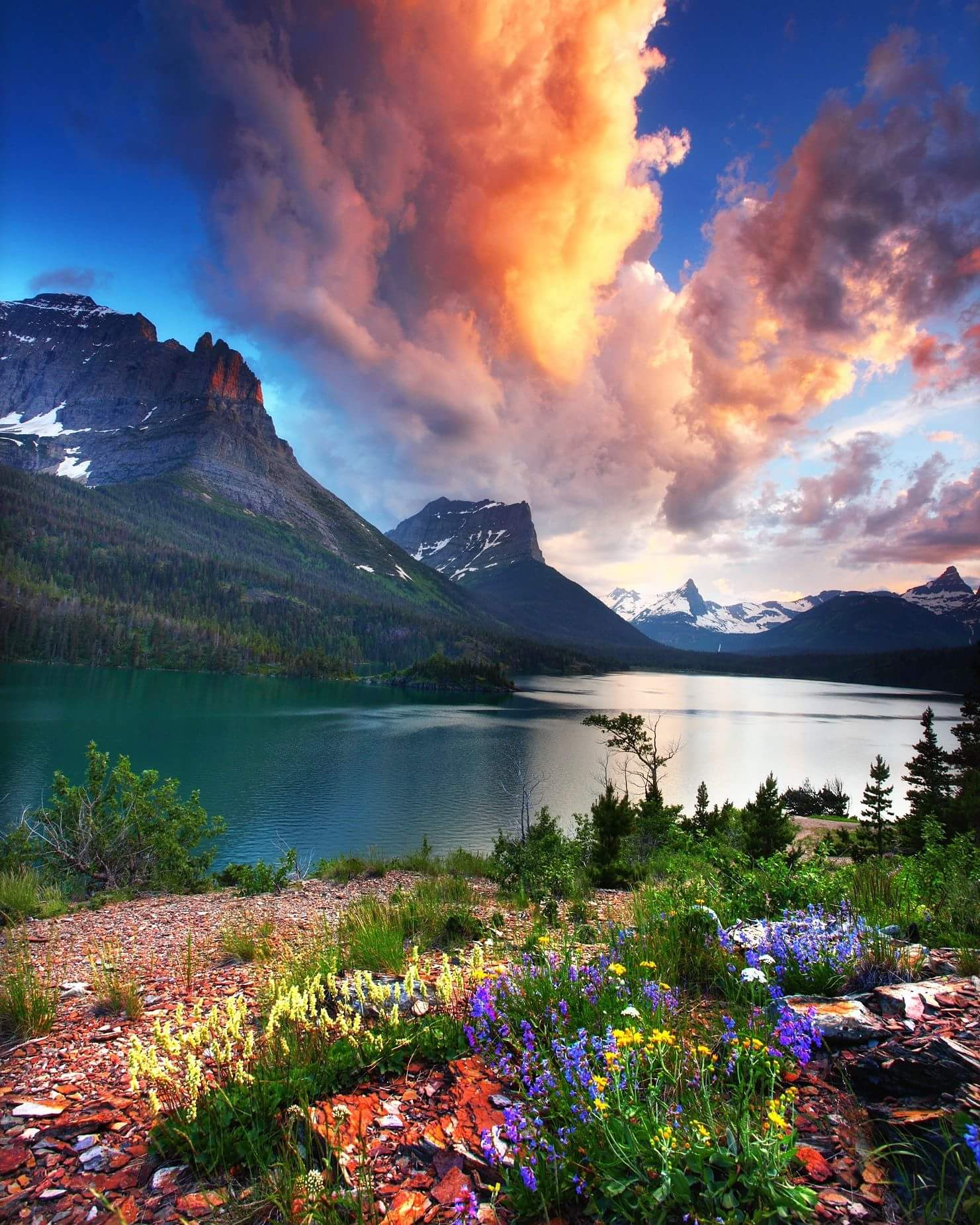 glacier national park montana -