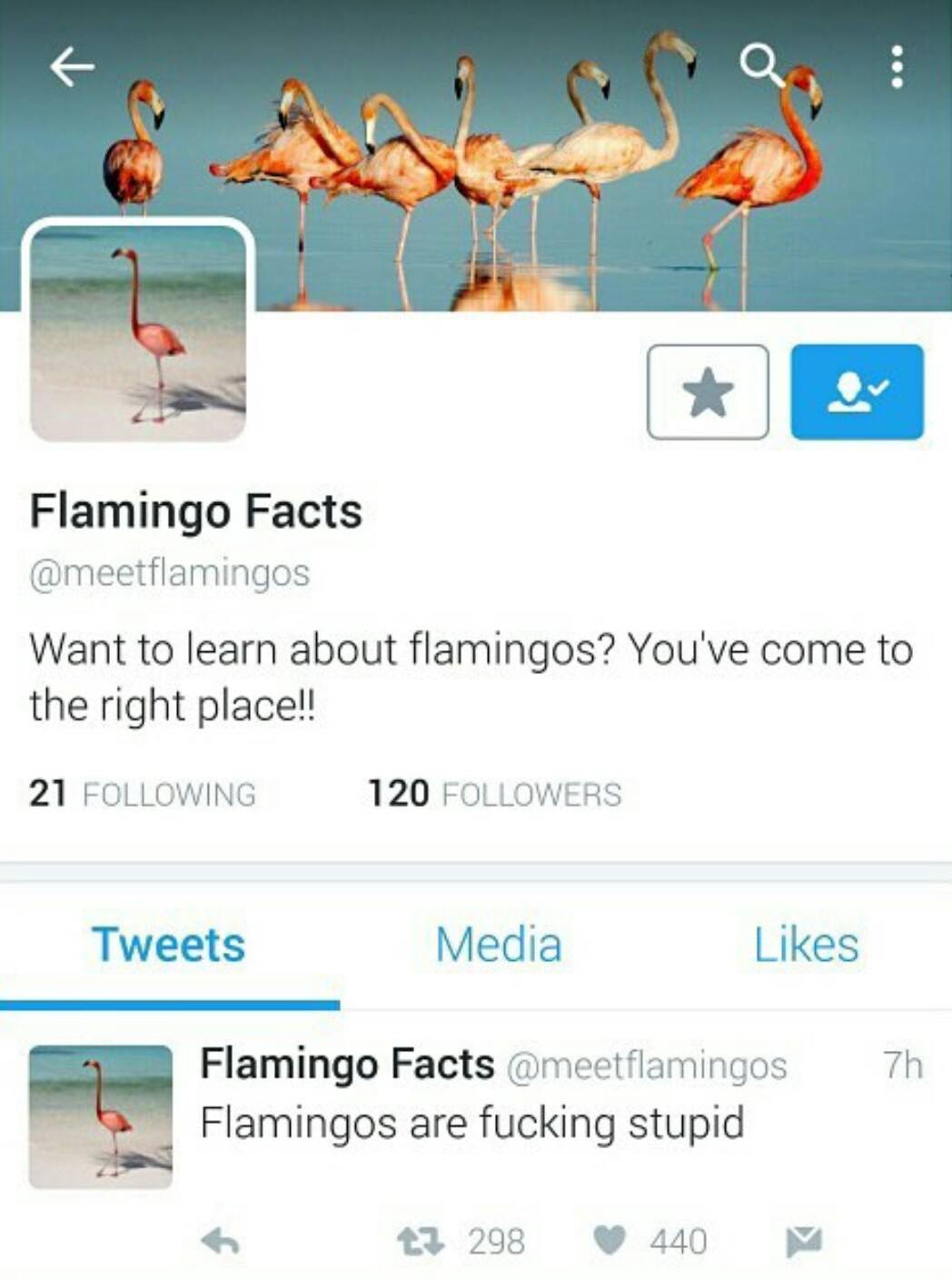 flamingo facts meme - Flamingo Facts Want to learn about flamingos? You've come to the right place!! 21 ing 120 ers Tweets Media 7h Flamingo Facts Flamingos are fucking stupid t3 298 440