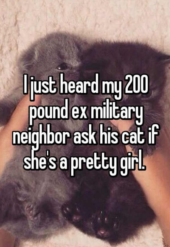 fur - ljust heard my 200 pound ex military neighbor ask his cat if she's a pretty girl