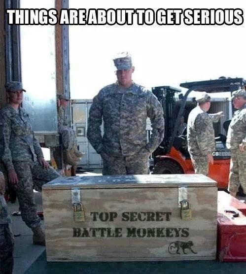 Army meme of box full of battle monkeys