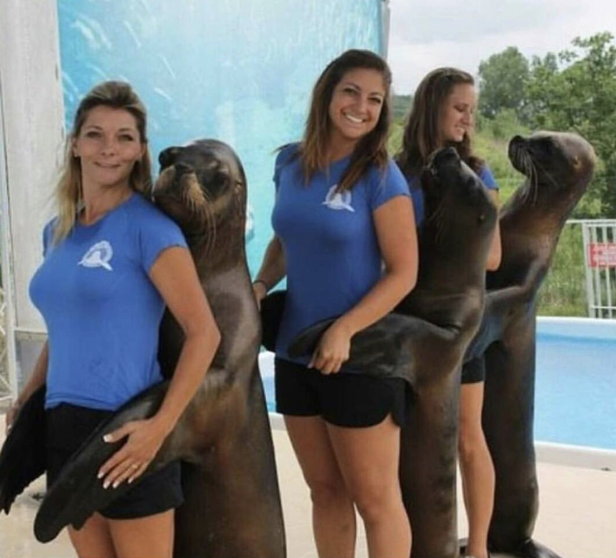 Girls snuggling with seals.
