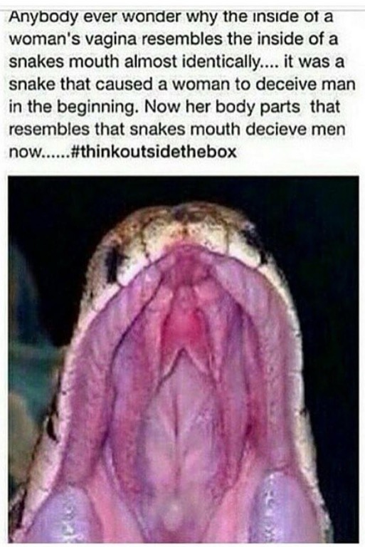 inside of a woman's vagina - Anybody ever wonder why the inside of a woman's vagina resembles the inside of a snakes mouth almost identically.... it was a snake that caused a woman to deceive man in the beginning. Now her body parts that resembles that sn