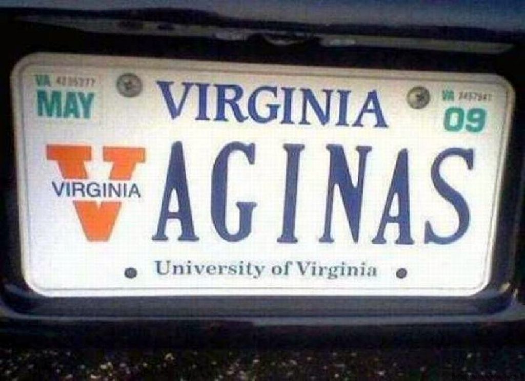 Very creative license plate in Virginia in which someone put AGINAS after the big V