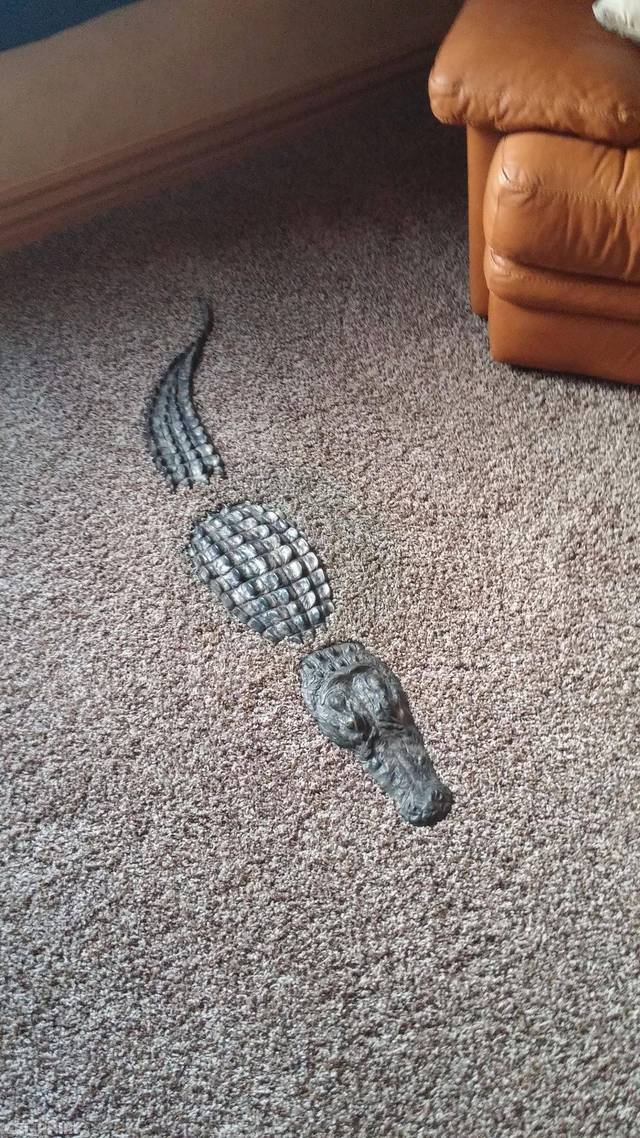 Cool floor sculpture that almost looks like an alligator is hiding in your carpet.