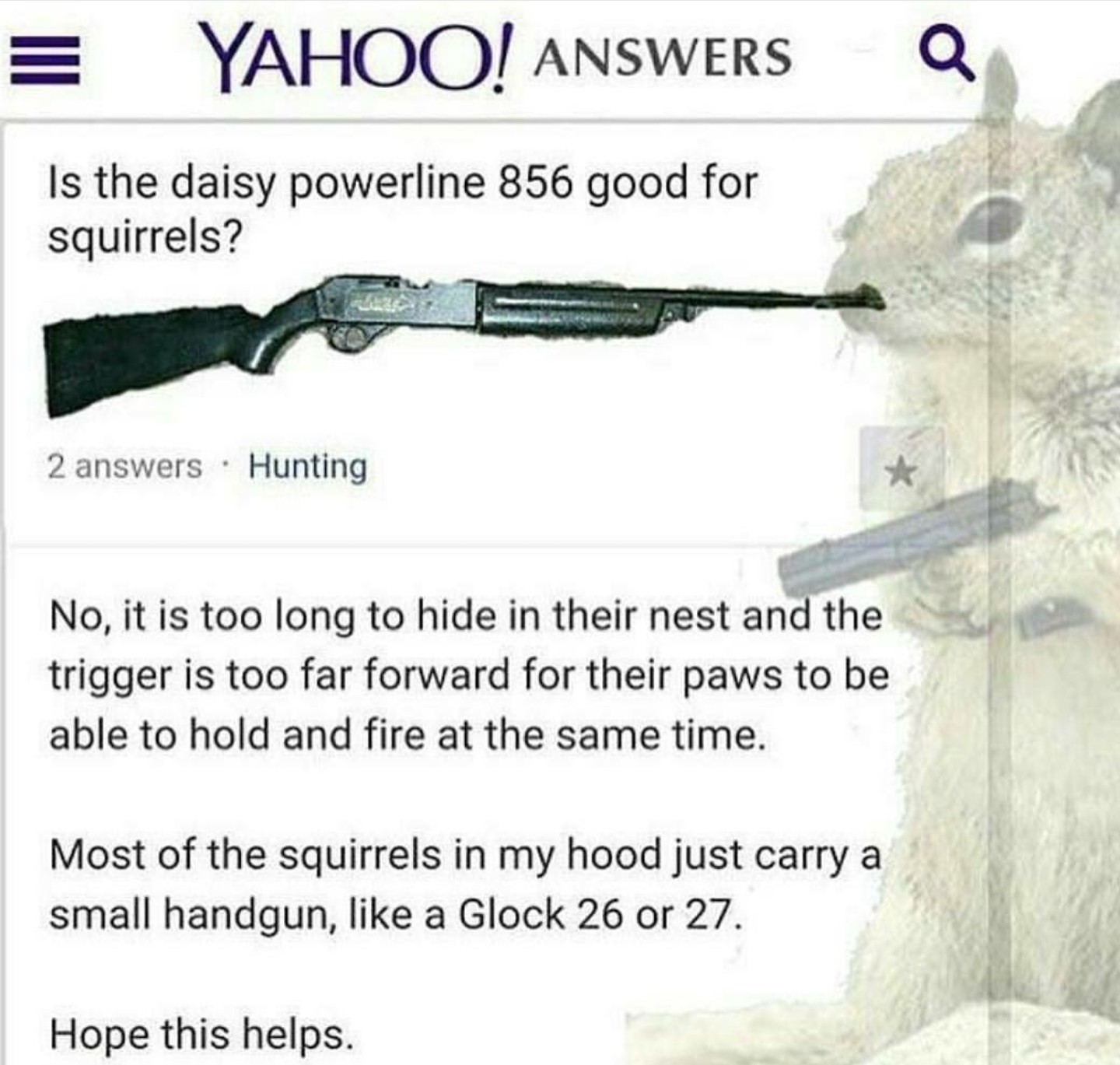 Someone asks on yahoo answers if a Daisy Powerline 856 is good for squirrels and epic troll responds as to which kind of firearms the furry creatures prefer to wield.
