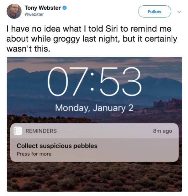 suspicious funny - Tony Webster I have no idea what I told Siri to remind me about while groggy last night, but it certainly wasn't this. Monday, January 2 Reminders 8m ago Collect suspicious pebbles Press for more