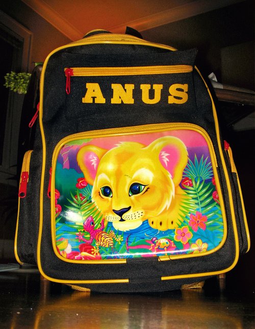 Cute backpack with a slightly off Simba from the lion king that reads ANUS on the back.