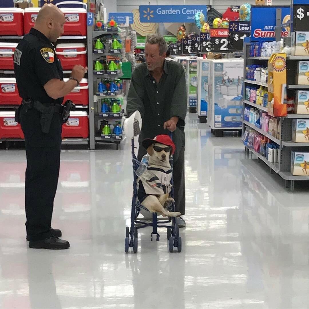 man at walmart pushing a baby stroller with a dog in it wearing a baseball cap, sunglasses and a shirt, with cop taking his statement.
