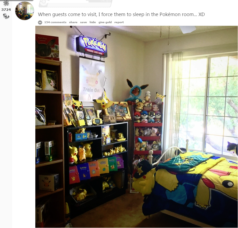 Pokemon guest room awesomeness