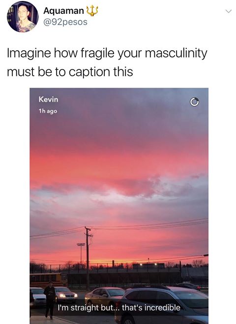 no homo sunset - Aquaman Imagine how fragile your masculinity must be to caption this Kevin 1h ago I'm straight but... that's incredible