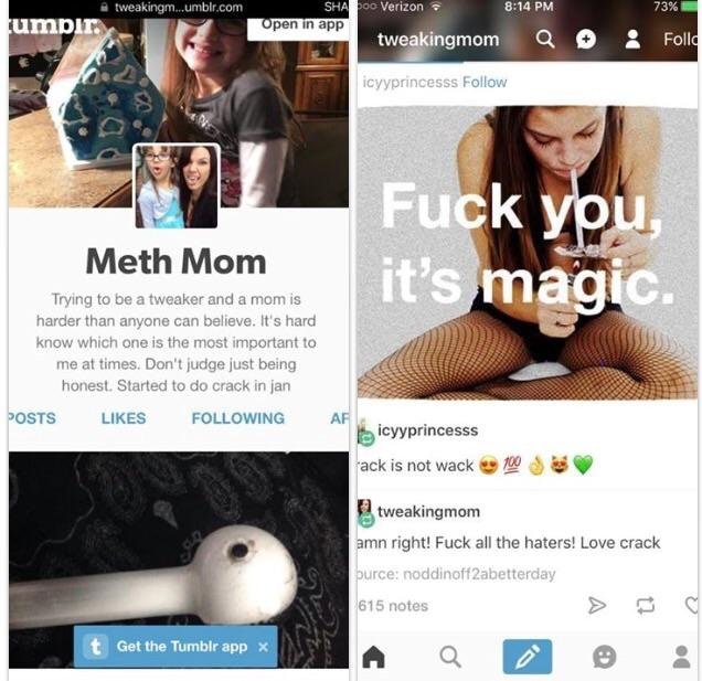 Tumblr account of Meth Mom and her 'fans'