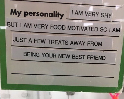 Label printer used to make My Personality filled out.
