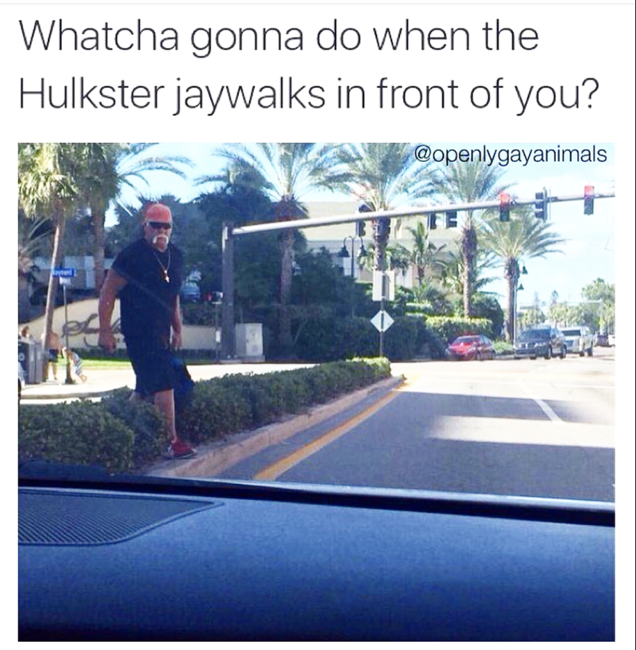 hulk hogan jaywalk meme - Whatcha gonna do when the Hulkster jaywalks in front of you?