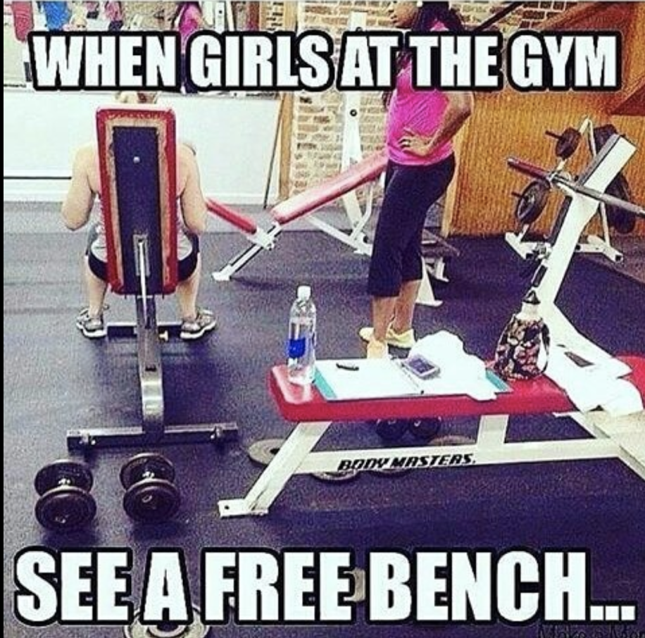 funny gym girl memes - When Girls At The Gym Bonzmasters See A Free Bench. 