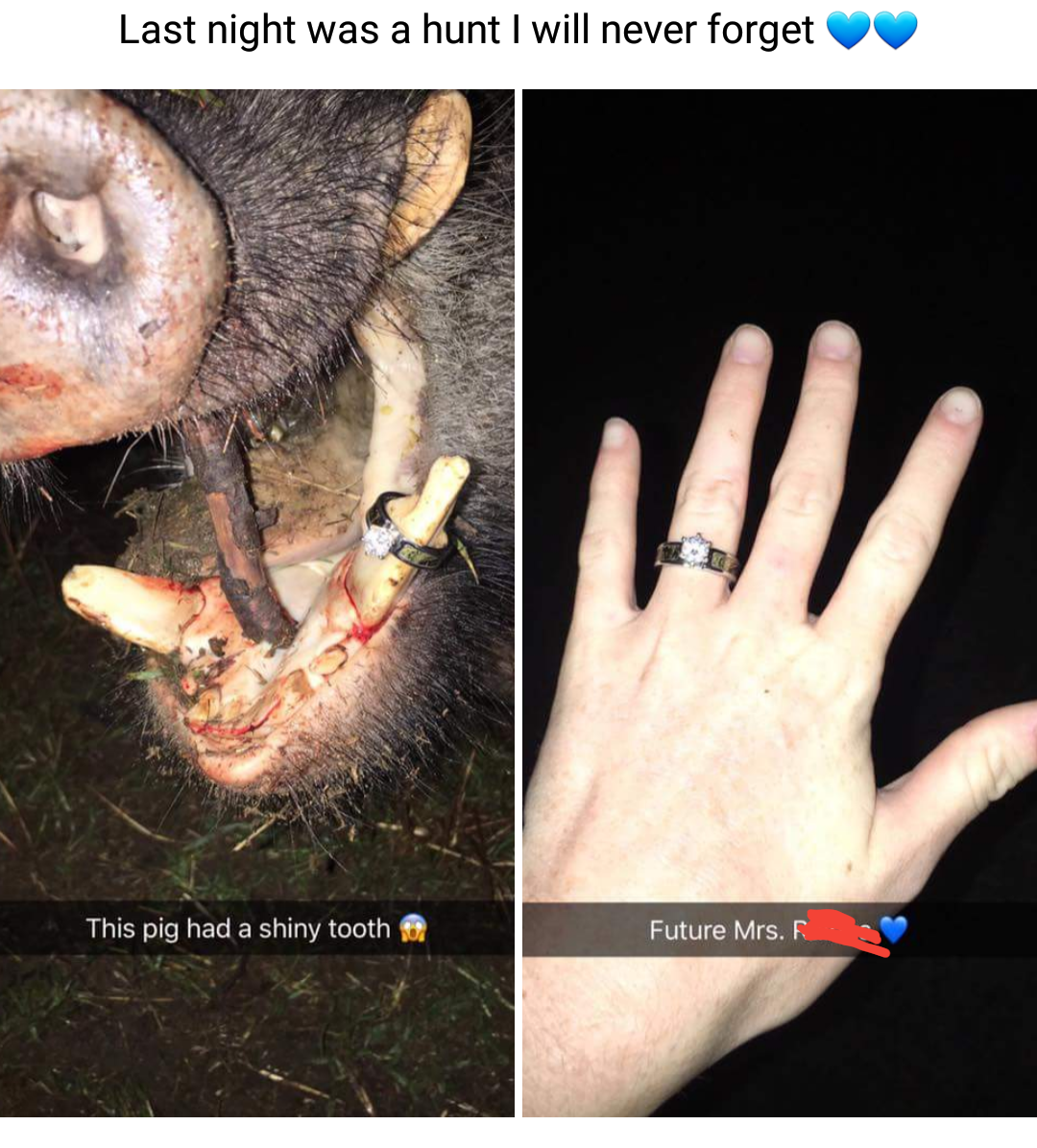 ear - Last night was a hunt I will never forget This pig had a shiny tooth Future Mrs.