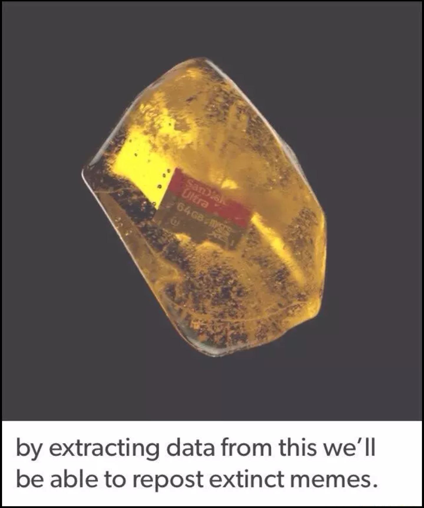 sd card in amber - by extracting data from this we'll be able to repost extinct memes.