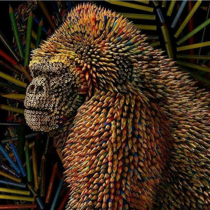 gorilla made out of pencils - 000 000 Occo 0008 08&loccoceeds