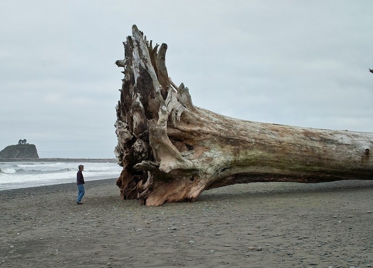 la push