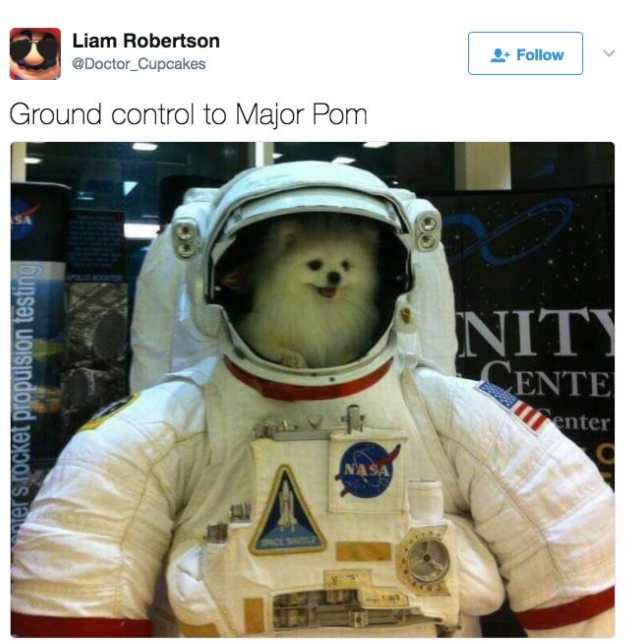 ground control to major pom - Liam Robertson Ground control to Major Pom Nity Entel bunsor uoisindojd ayo sa.. enter