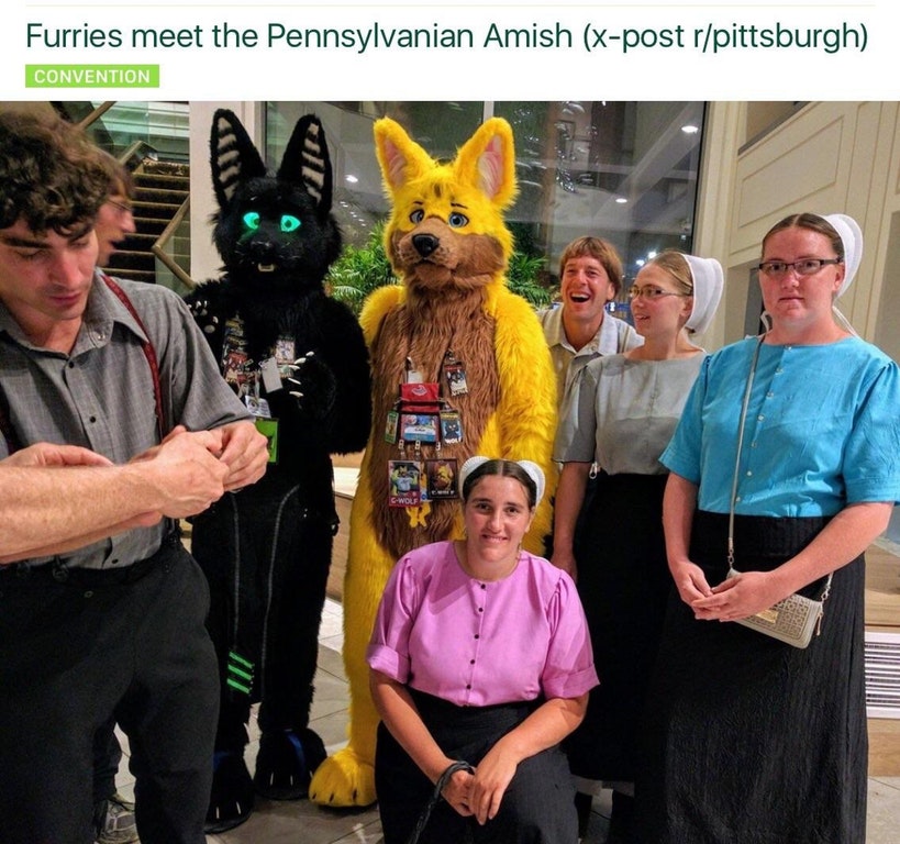 amish furry - Furries meet the Pennsylvanian Amish xpost rpittsburgh Convention