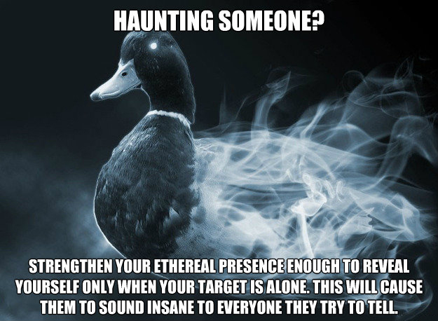 afterlife advice mallard - Haunting Someone? Strengthen Your Ethereal Presence Enough To Reveal Yourself Only When Your Target Is Alone. This Will Cause Them To Sound Insane To Everyone They Try To Tell.