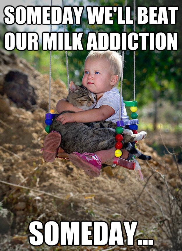 someday meme - Someday We'Ll Beat Our Milk Addiction Someday...