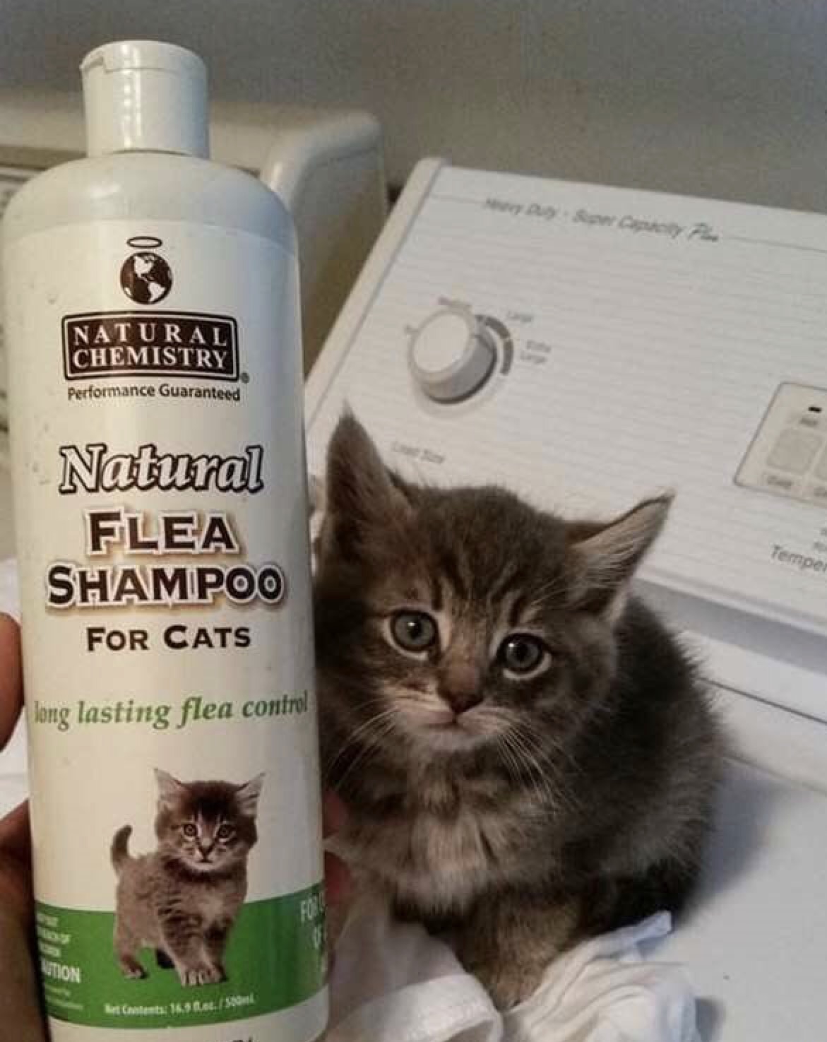Kitten - Natural Chemistry Performance Guaranteed Natural Flea Shampoo For Cats long lasting flea control Bet Calents16.5 ft.
