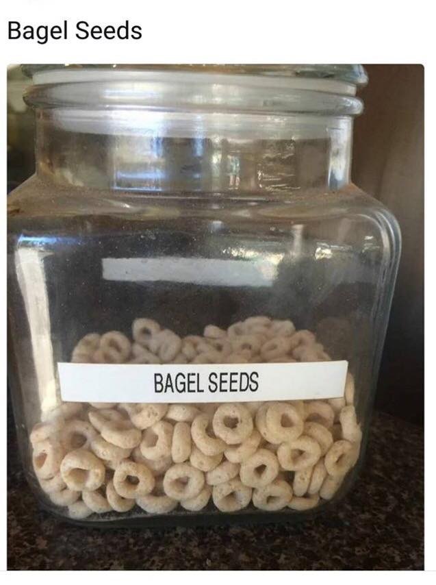 bagel seeds meme - Bagel Seeds Bagel Seeds