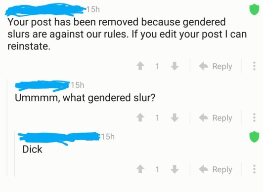 Post that was removed because of Gendered Slur