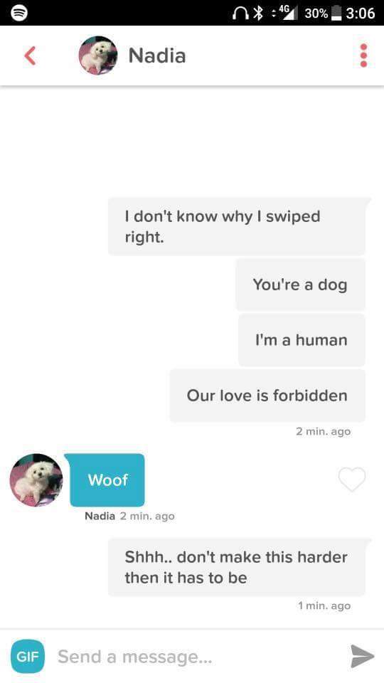 Nadia and a dog break up on DM